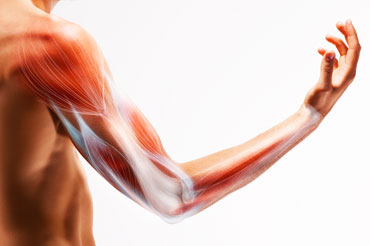 TENDINOPATHY